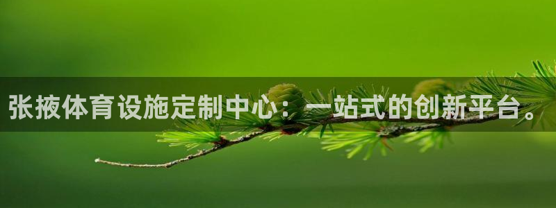 意昂4五金厂：张掖体育设施定制中心：一站式的创新平台。