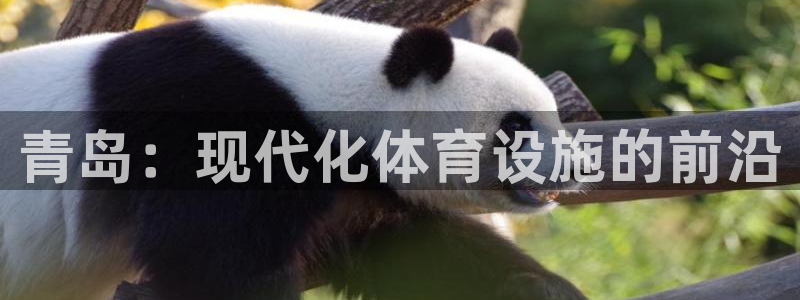 意昂体育4平台注册流程视频：青岛：现代化体育设施的前沿