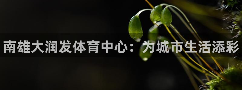 意昂4集团官网首页：南雄大润发体育中心：为城市生活添彩 