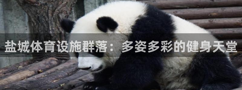 意昂集团官网