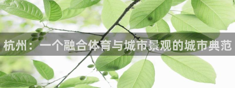 意昂体育4平台