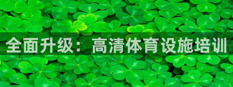 海南意昂体育4发展怎么样