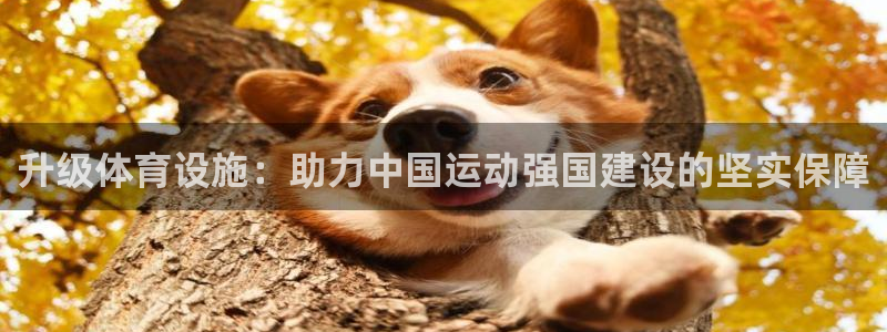 意昂体育4平台注册要钱吗：升级体育设施：助力中国运动强国建设