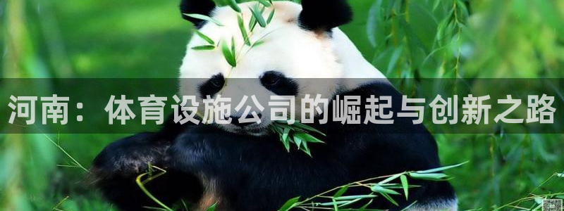 注册意昂4：河南：体育设施公司的崛起与创新之路