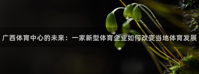 意昂体育4招商电话号码是多少啊：广西体育中心的未来：一家新型
