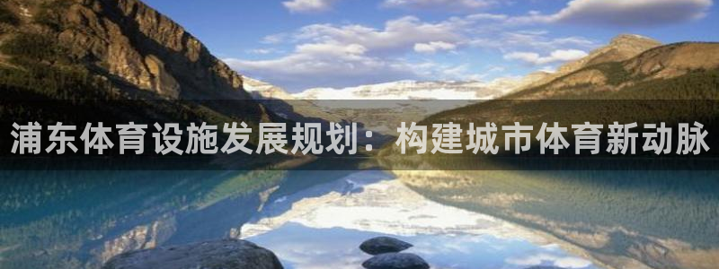 意昂4集团E.ON：浦东体育设施发展规划：构建城市体育新动脉