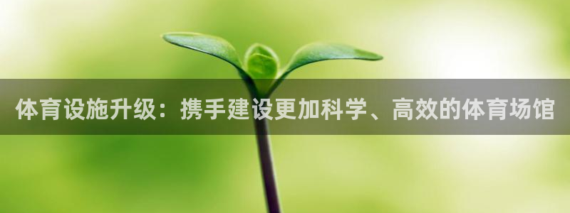 意昂体育4开户：体育设施升级：携手建设更加科学、高效的体育场 